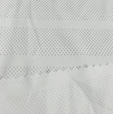 滌氨橫條網布