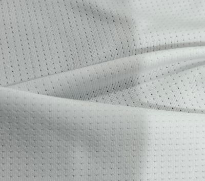 75D滌氨網布